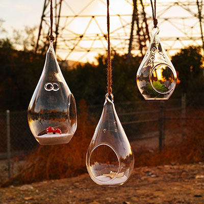 Hanging Candle Holders & Hanging Terrariums