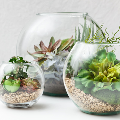 Glass Bubble Vases