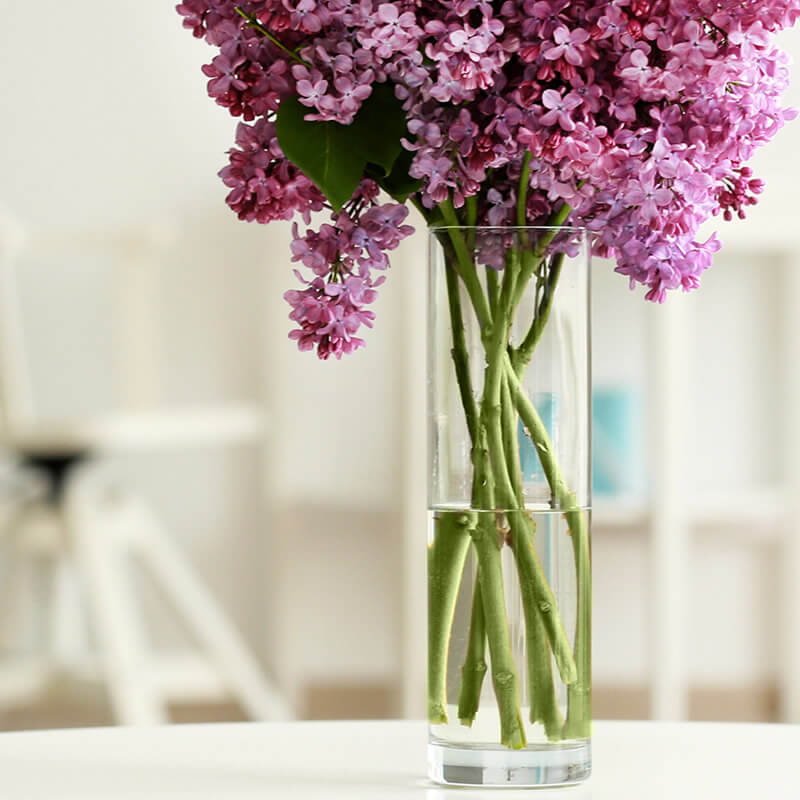 Vases