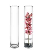 Glass Cylinder Vase. H-28 D-5
