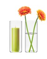 glass cylinder vases