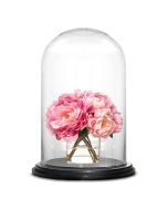 Glass Dome Cloche Bell Showcase Display w/ Black Wood Base