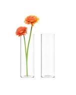 glass cylinder vases