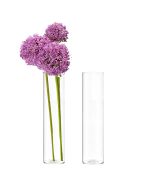 glass cylinder vases