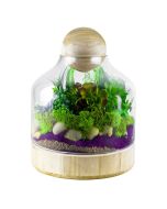 glass terrarium vase with wood stopper