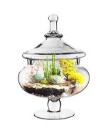 glass apothecary candy buffet jars
