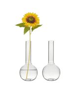 5.5" Height Mini Glass Flower Bud Vase 