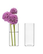 glass cylinder vases