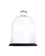 glass cloches dome with wood base display