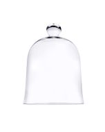 large glass cloches dome display