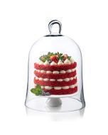 glass cloches bell jar knobs