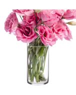 GLASS CYLINDER VASES