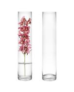 glass cylinder vases