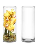 glass cylinder vases