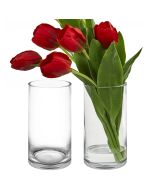 10 inches glass cylinder vase