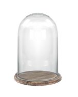Glass Dome with Burnt Finish Wood Base