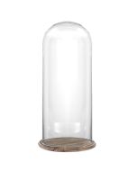 H 19.5" x D 11" glass dome cloche with burnt brown wood base