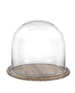 glass dome cloches with Brown Wood base