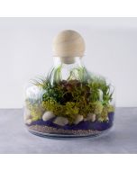 glass terrarium vase
