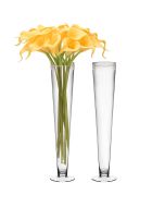Clear Glass Trumpet Vases 24 inch
