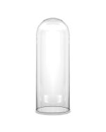 Glass cloches domes display 
