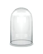 Glass cloches domes display wood base black