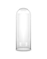 Glass cloches domes display wood base black