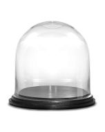 Glass cloches domes with black wood base