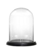 Glass cloches domes display wood base black