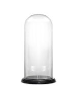 glass cloche dome with wood base