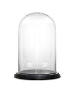 H-17 D-7" inches glass domes cloche with black wood base