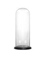 Glass cloches domes display wood base black