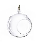 hanging glass terrarium round orbs