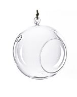 Plant Terrarium Glass Orbs hanging
