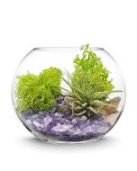 glass bubble bowl