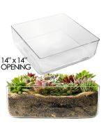 glass square vase wide opening