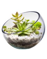 glass slanted bowl