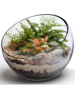 Slant Cut Tilted Glass Bowl