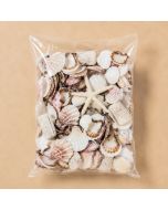 19.8 lbs Assorted Mixed Beach Seashells, Pack of 6 Bags