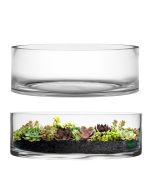 Glass cylinder vases