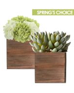 4 inches wood cube planters-spring