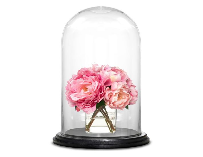 WHOLE HOUSEWARES Dôme En Verre Transparent Base MDF Noir - Cloche Décorative Centre De Table
