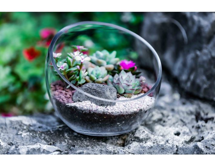 Glass Slant Cut Bowl. H-6.25" D-6.75" Tilted Bowl Terrarium