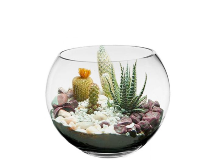 Exquisite Glass Bubble Bowls | Elegant, Versatile, and Durable