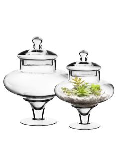 glass apothecary jars set of 2