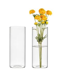 glass bud vases