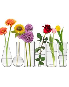6 pcs of different shapes of glass mini vases