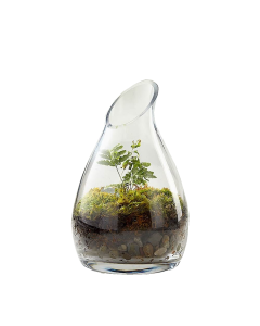 glass-carafe-vase-gcu191