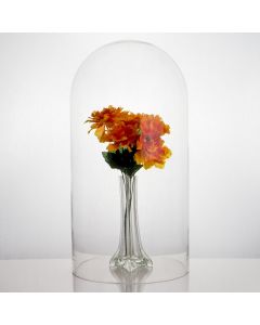 10" diameter - glass domes