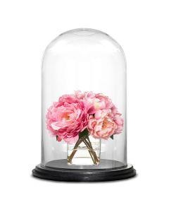 Glass Dome Cloche Bell Showcase Display w/ Black Wood Base